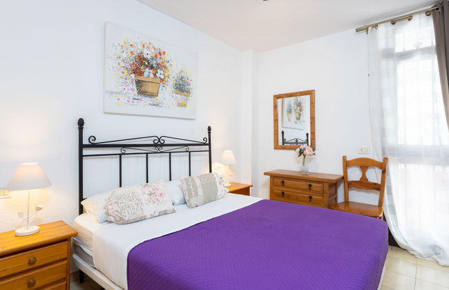 Comfy Altemar - Foto 5