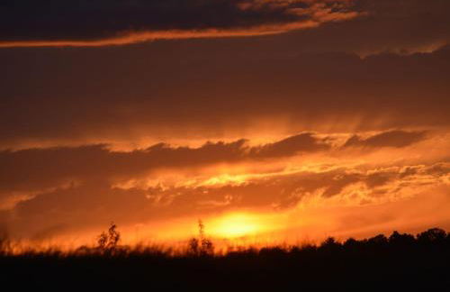 Ferienhaus am Ried - Foto 68