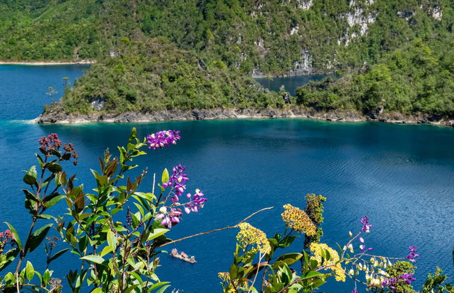 Excursion privée au départ de San Cristóbal de las Casas - Foto 1