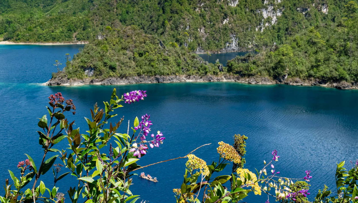 Excursion privée au départ de San Cristóbal de las Casas