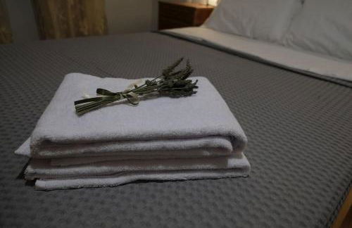 Δ2 - Τα διαμερίσματα του δασκάλου στα Φιλιατρά - Foto 22