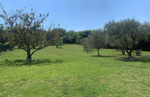 Maison climatisée avec grand jardin, piscine privée et Jacuzzi - Foto 38