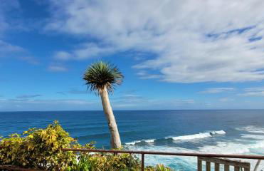 Anaga Manolo Natural House - Foto 44