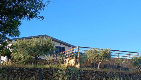 Andar Moradia T4 na Casa do Olival - Foto 4