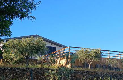 Andar Moradia T4 na Casa do Olival - Foto 4