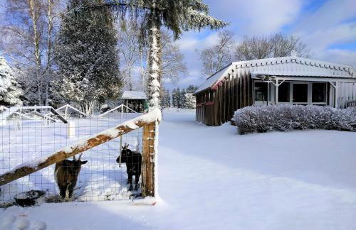 Chalets des Trois Hêtres - Foto 42
