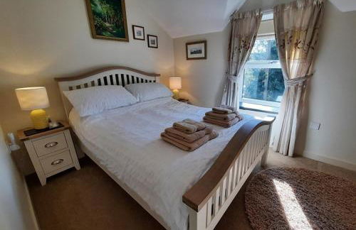 Cosy Quarrymans Cottage in Snowdonia - Foto 51