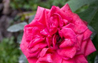 Casa Macchia - Foto 16