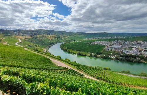 Garden Eden - Foto 28