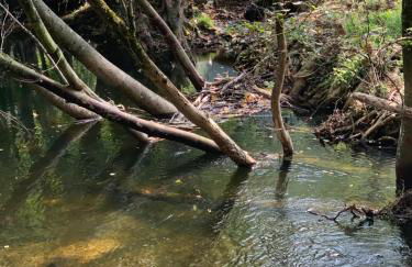 Ferienwohnung Elsa - Foto 15