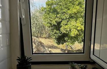 Casa do Castelo - Foto 50