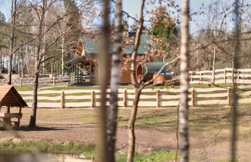 Apartamenty Białe Brzozy - Photo 64