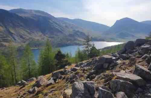 Lakeland Retreat - Foto 12