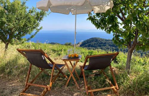 Manolates 360 - Photo 20