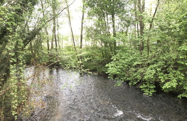 Holiday Apartment \"dilborner Benden\" - Foto 7