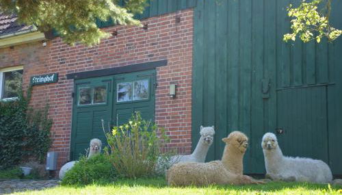 Alpakatherapie und Ferienhof Charlottenthal - Foto 2