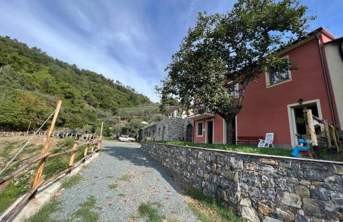 Agriturismo Torsivì - Foto 7