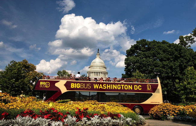 Bus touristique de Washington DC - Photo 3