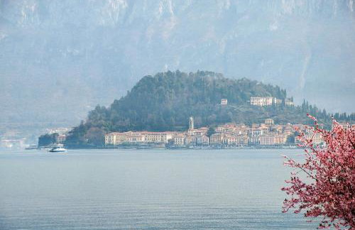 Appartamento Helvetia - Foto 2