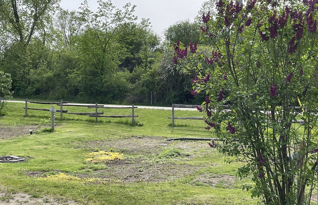 Catch More Resort - Foto 64