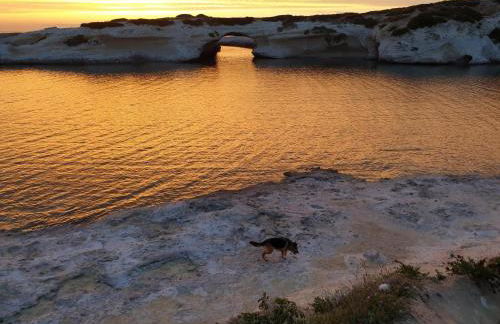 Villa Cristina - Foto 30