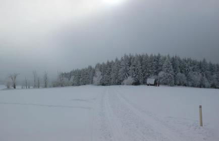 Ferienhaus Schellerhäusl - Foto 38