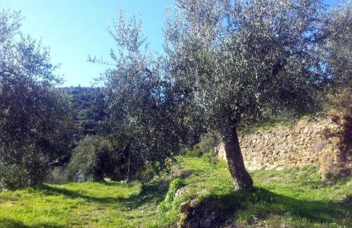 Agriturismo C'era Una Volta - Photo 75