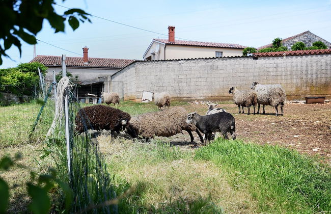 Apartment 1877 - Foto 49