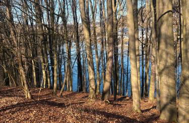 Sternschnuppe - Foto 10