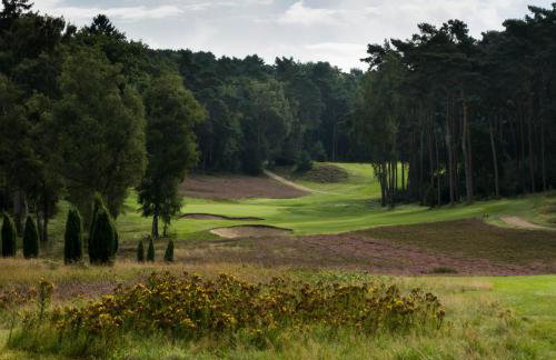 Das ELBCOTTAGE - Foto 39