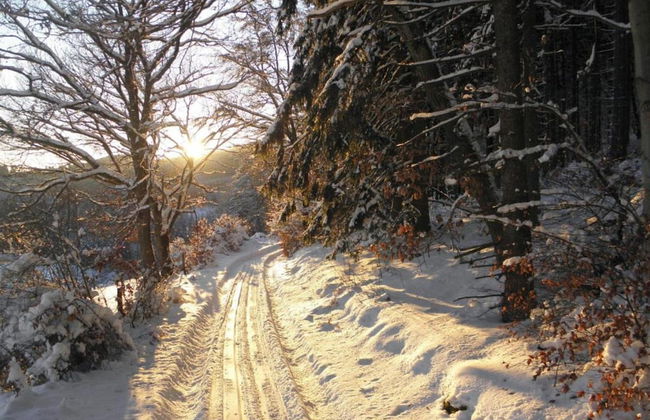 Forest Escape Near Ski Lift - Foto 38