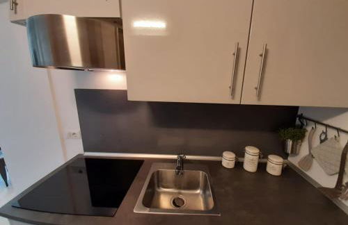 BMP APARTMENT GIOIOSA 2 giardino vista Lago Maggiore - Foto 15