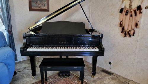 A rest after a day in the Death Valley desert - Foto 5