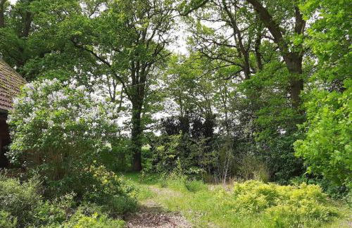 Landhaus SiebenEichen - Foto 63