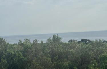 Mani Spot Nezoulas - Photo 23