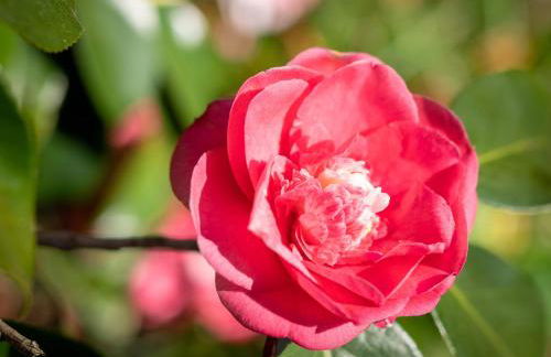 Maloca' Robretières - Photo 27