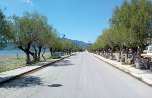 Diamanti Studios - Foto 34