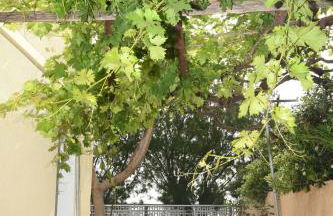 Blue Flag Award Winning Ormos Lo Beach: Home 1 - Foto 22