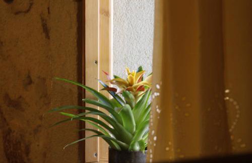 Tholos by Praxithea Stone House & Pool - Foto 8