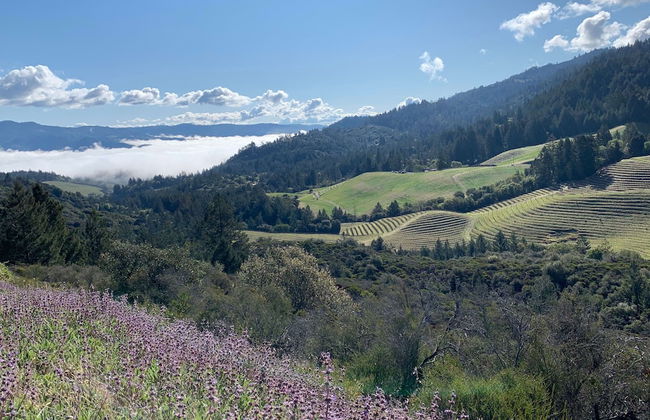 Modular Luxury Casita w Pool - Foto 33