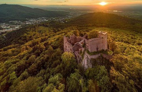 SK Ferienapartments Kappelrodeck - Photo 34