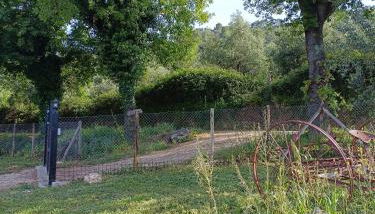 Casaletto in Sabina - Foto 3, Garden