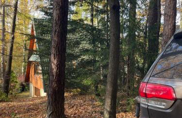 Domek w Lesie - Foto 13