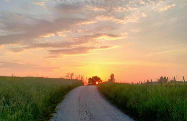 Anticopodere - Foto 23