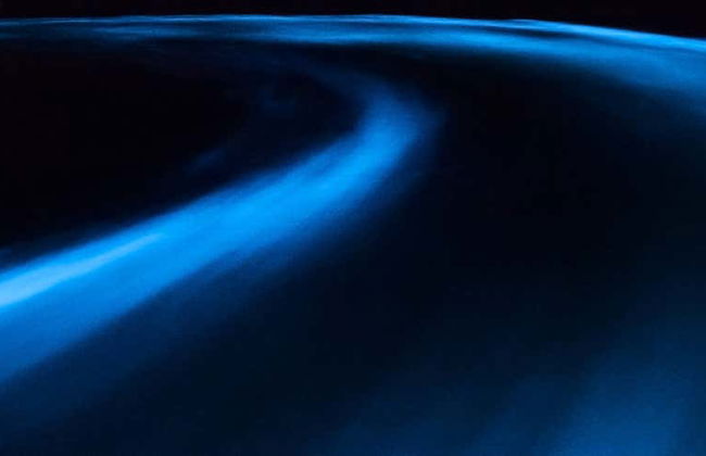 Luminous Lagoon Night Tour - Photo 1