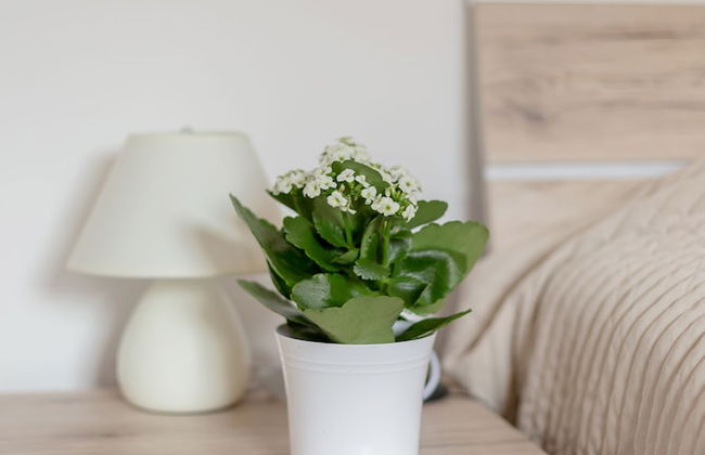 Apartments Valant - Foto 8