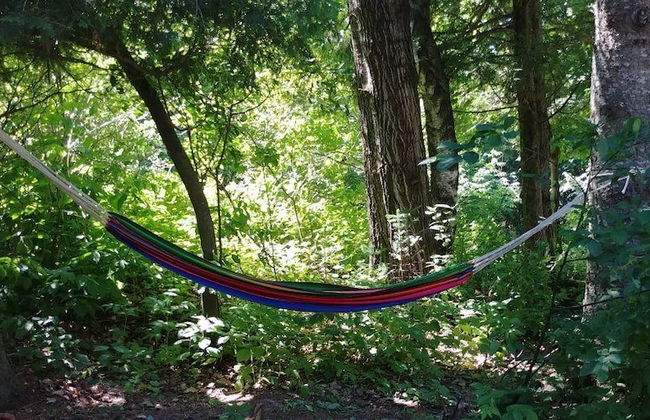 Le Domaine de l'Étang - Photo 16