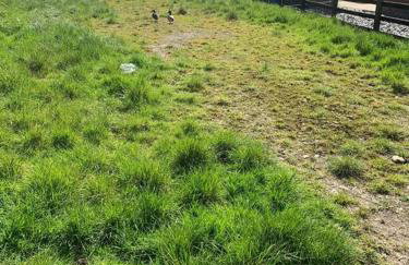 Newton Hall Farm cottage, hot tub garden views Nr Lytham Ribby - Foto 9