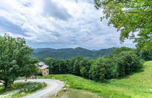 Bear Tracks at Eagles Nest - Foto 42