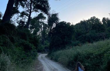 Paralia Homes cheerful 2 bedroom with pool, unit #1 - Foto 55